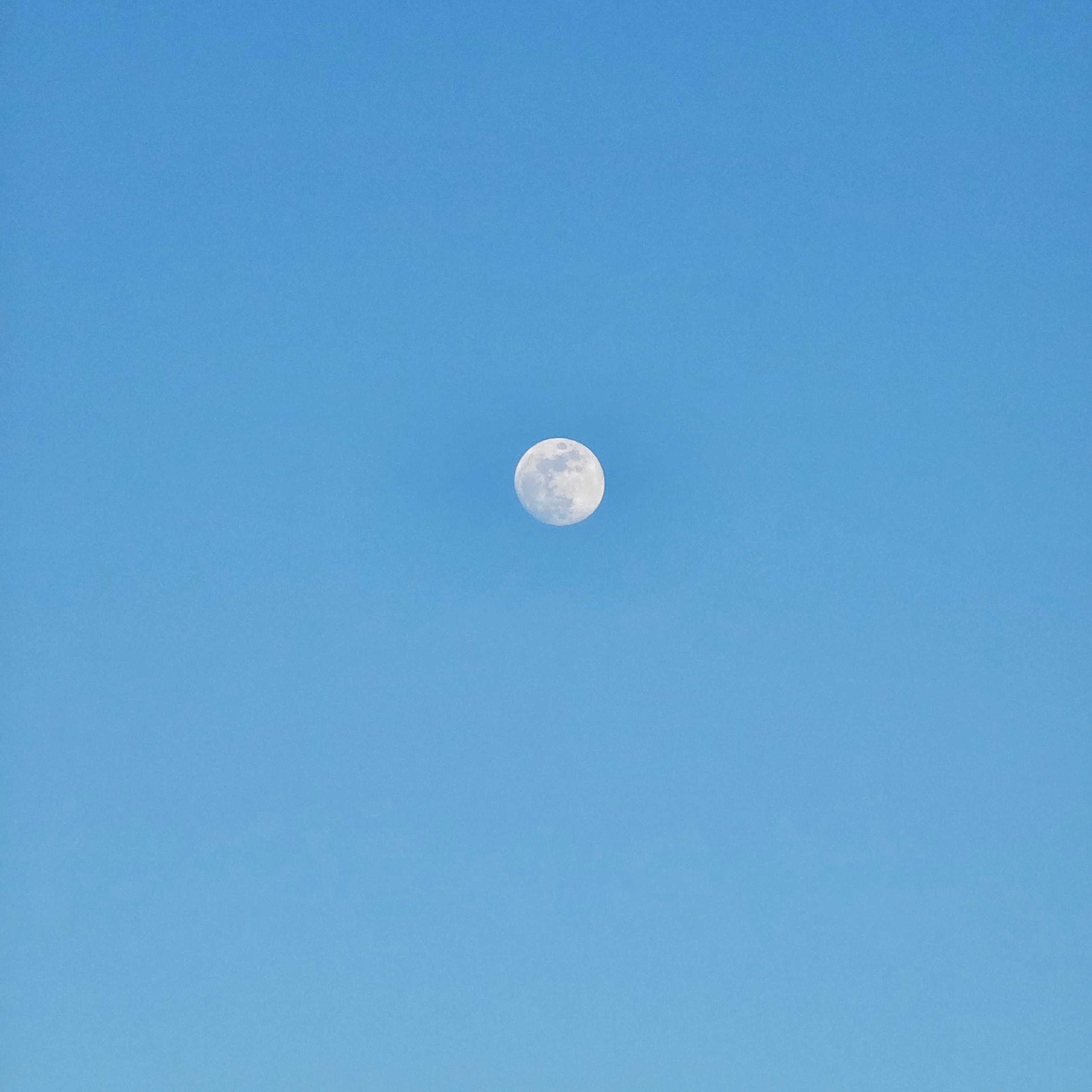 Full Moon Collection