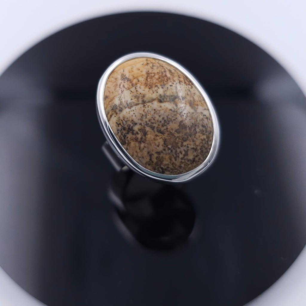 Large oval Jasper bezel set sterling silver ring