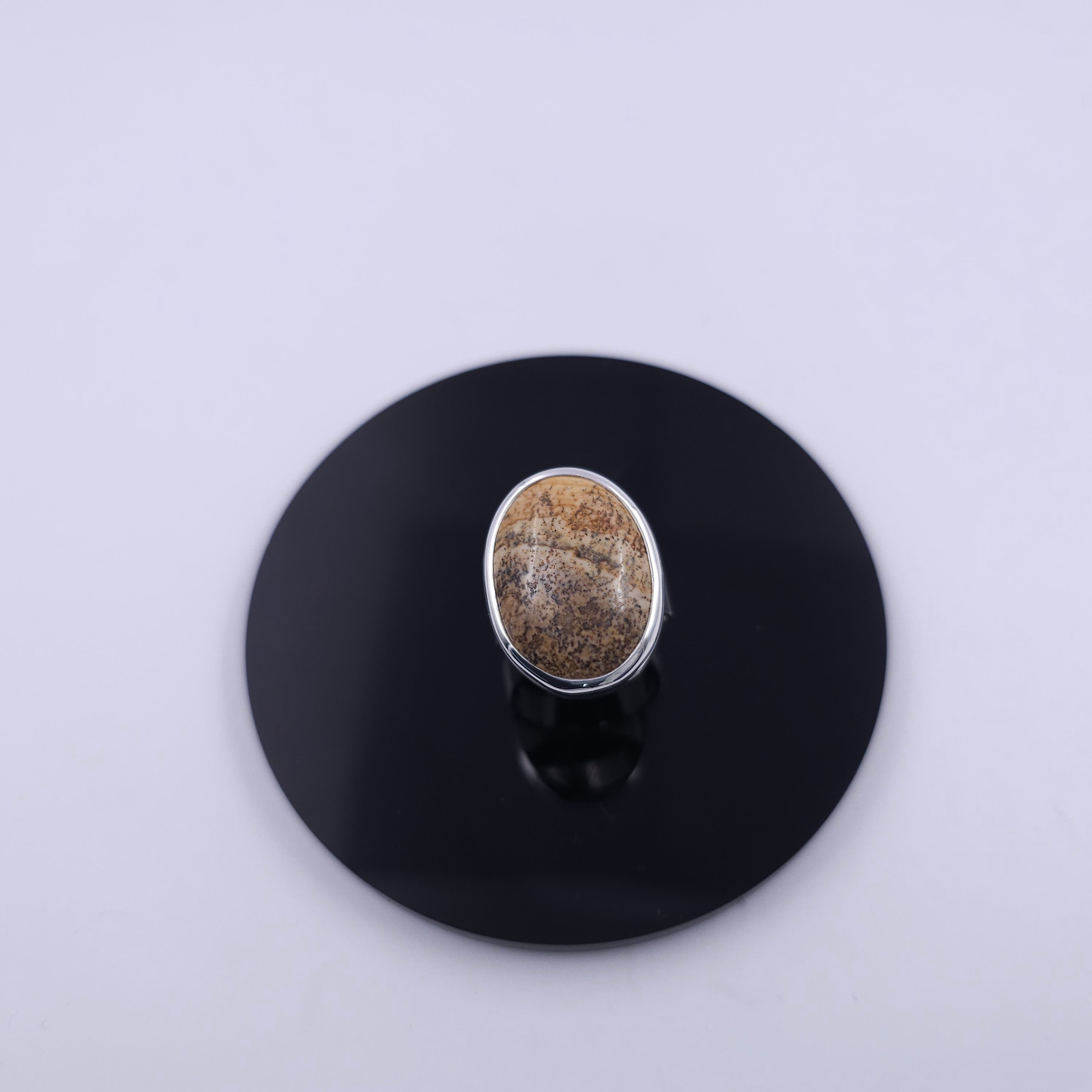 Large oval Jasper bezel set sterling silver ring