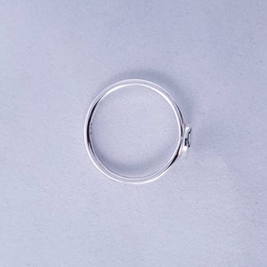 Top view of silver Maine ring